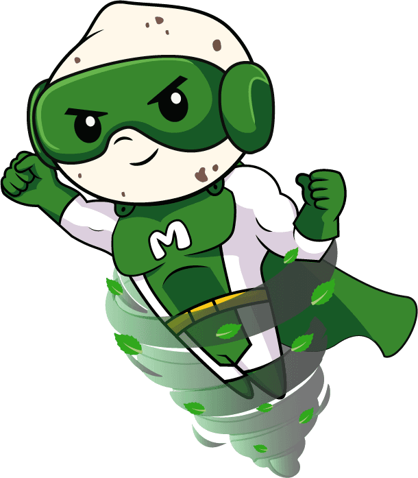 Punchy Pudina Makhana mascot